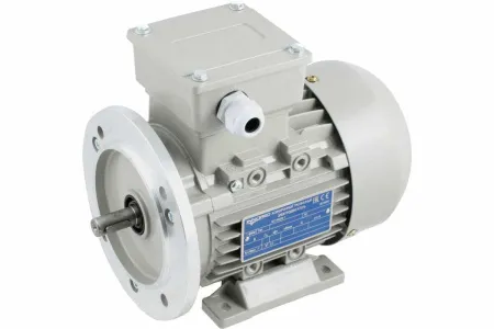 INNORED Электродвигатель трёхфазный асинхронный (0.75 кВт 1400об/мин) 200"19мм, на лапах, схема включения "звезда"/"треугольник" (380В/220В), IP55 RM80M2-4 B35